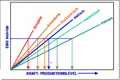 Kraft Relation
