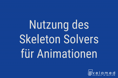 Nutzung des Skeleton Solver