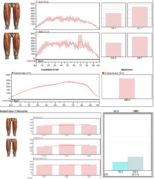 MR3 Individualisierter Report