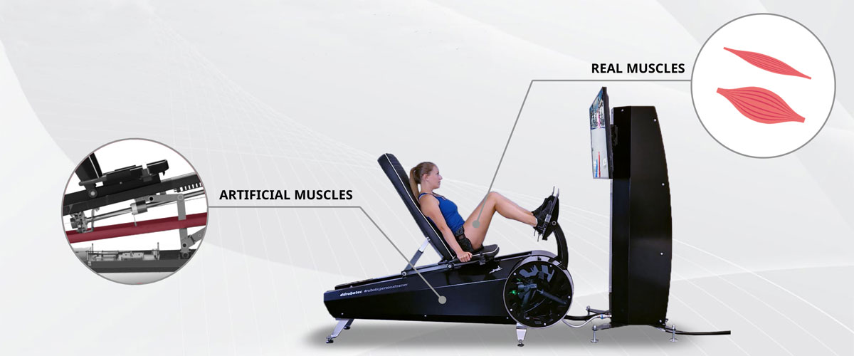 ddrobotec Sports