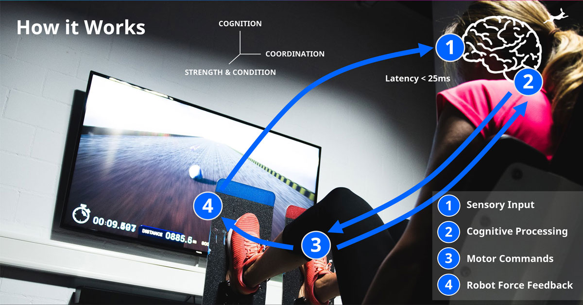 ddrobotec – How it works