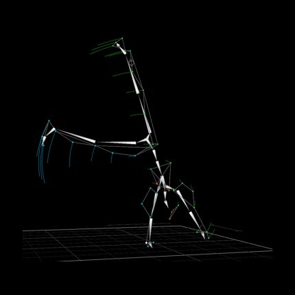 QTM Skeleton Solver Cartwheel