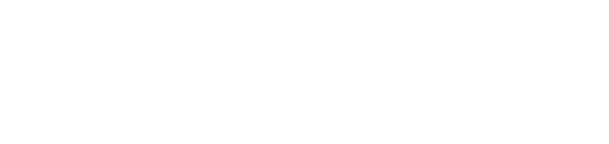Velamed Logo Weiss